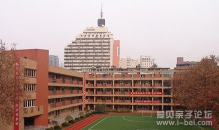 263_130530150334_1.jpg