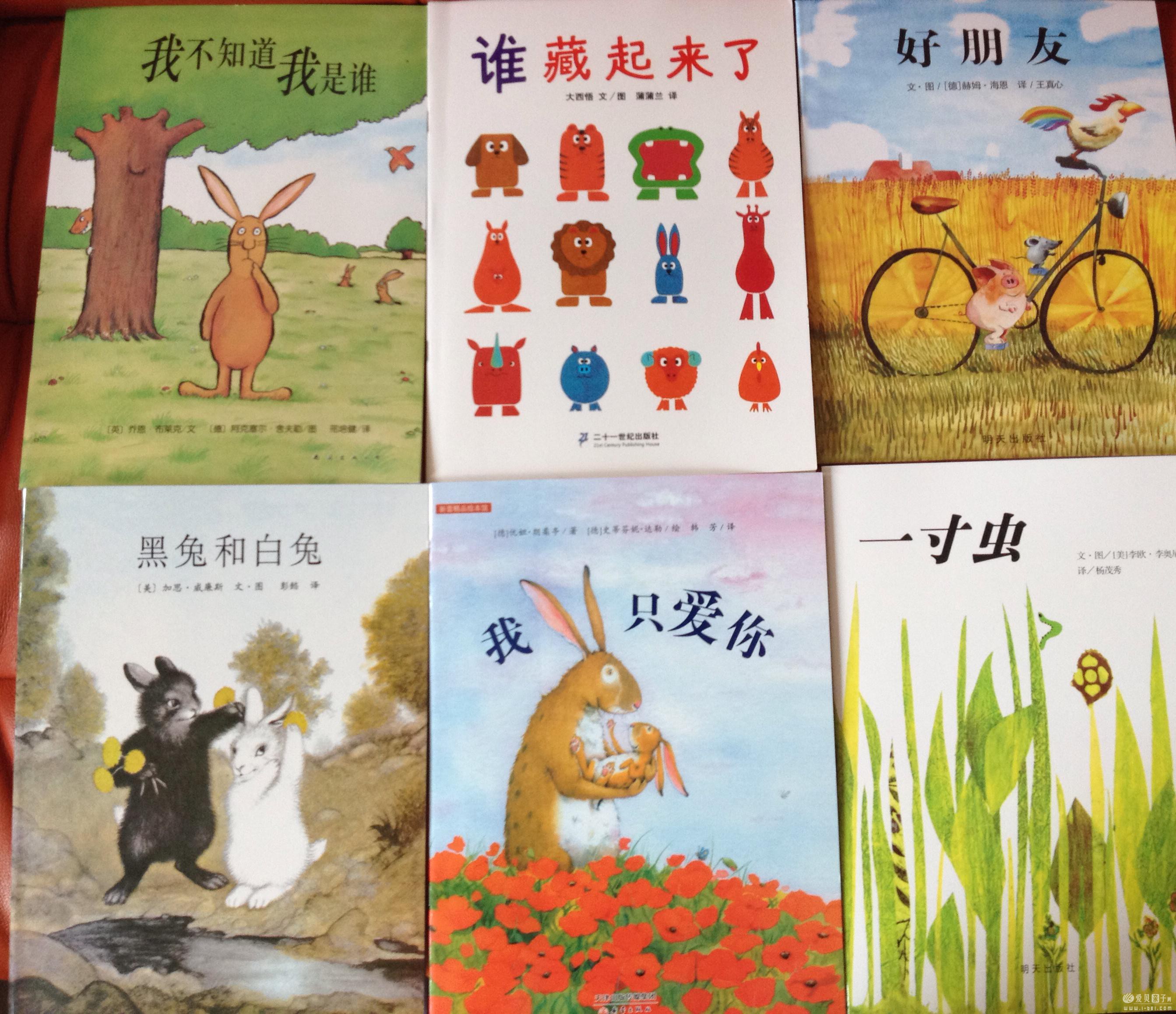 IMG_3851.JPG IMG_3851.JPG