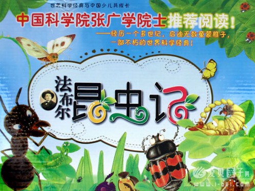 ��ͯ�������¶������������ǡ����İ�ȫ32��MP3��Ƶ����