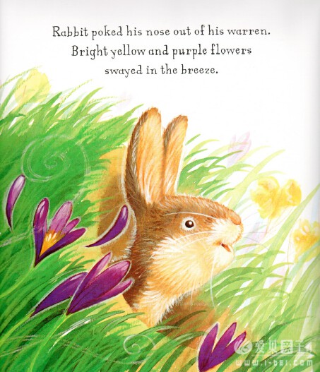 Ӣ汾ӵĴ Rabbit's Spring AdventureڴĻ汾 pdf