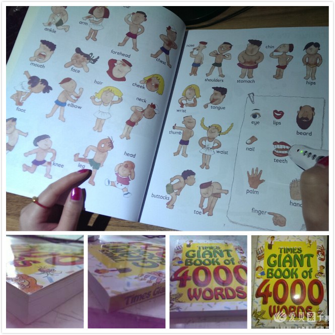 Ź4000wordsͼʵ