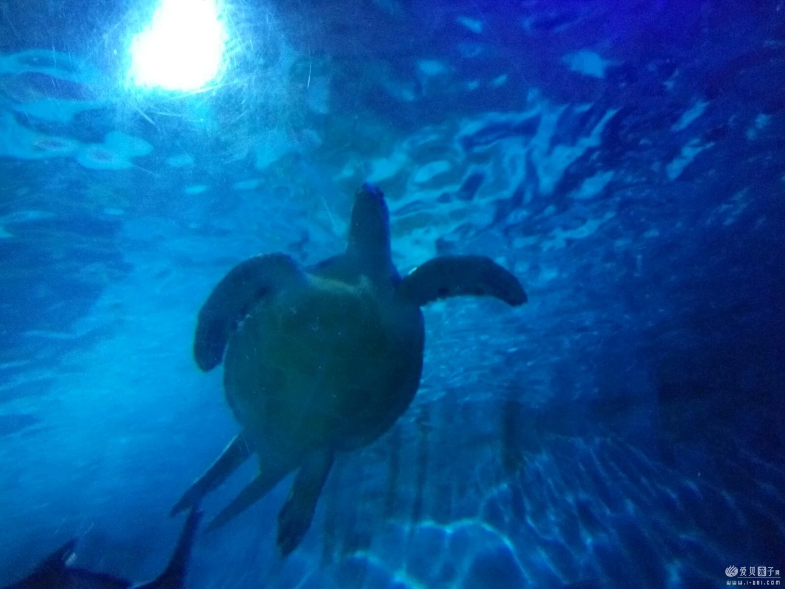 2015-06-21 (10).jpeg