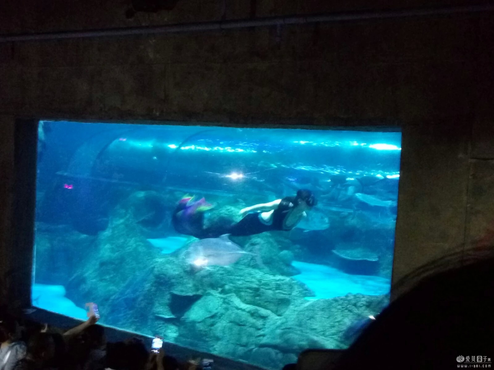2015-06-21 (12).jpeg
