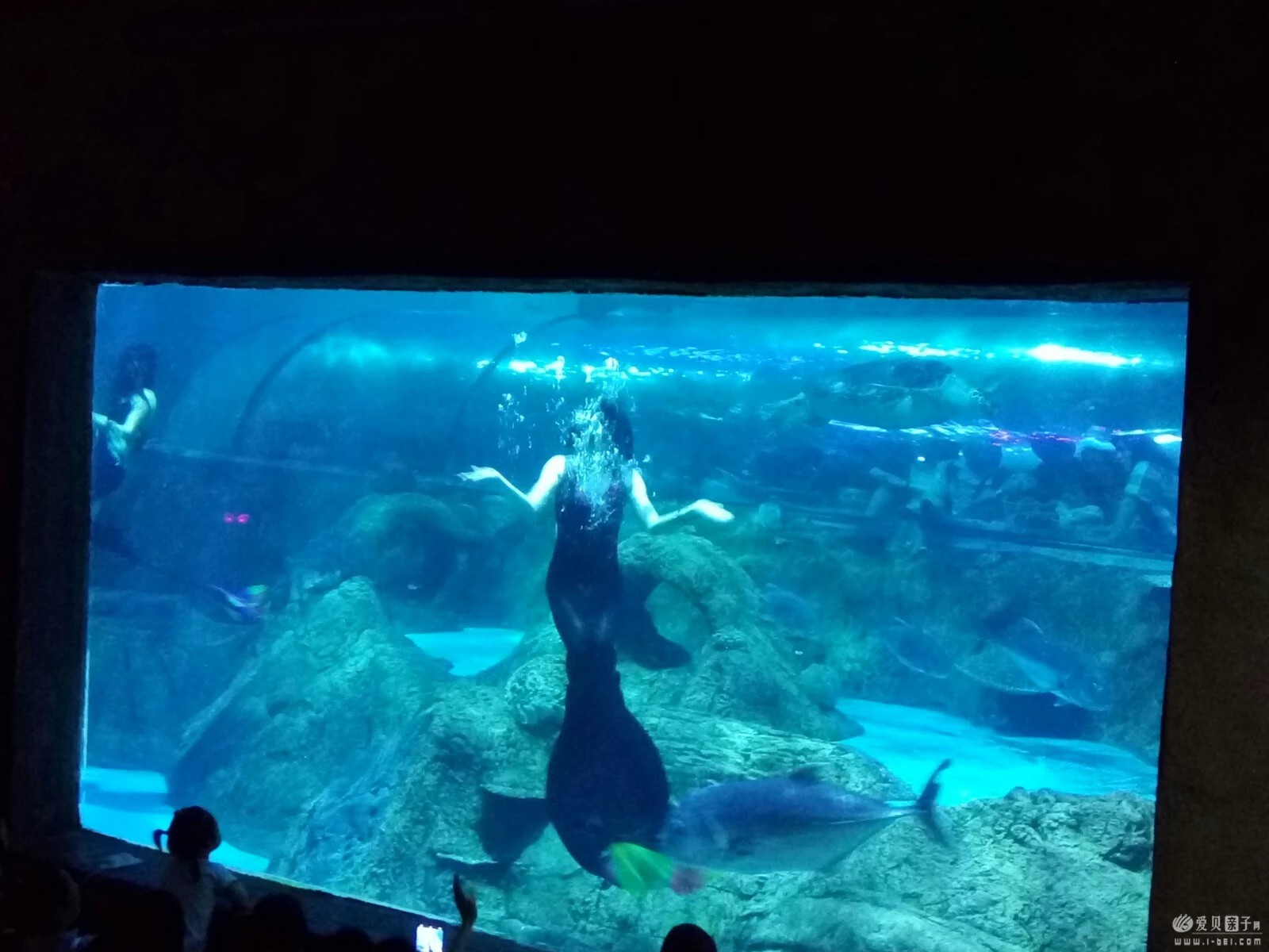 2015-06-21 (13).jpeg