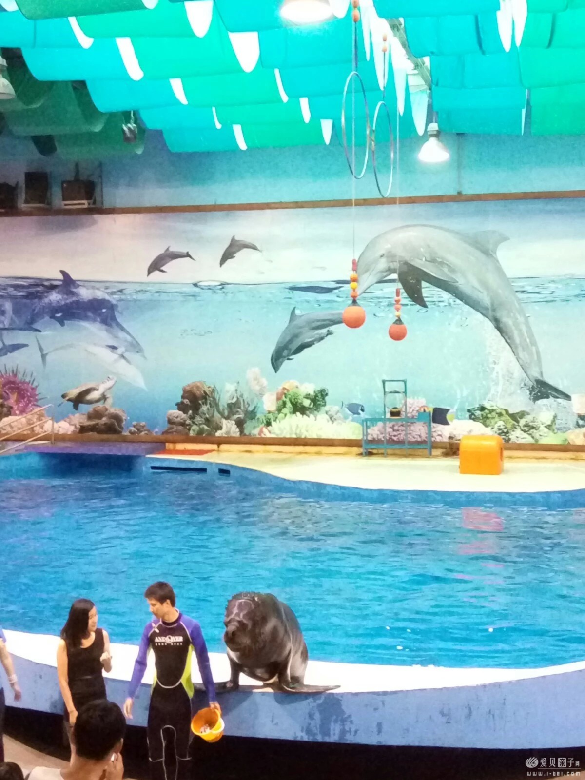 2015-06-21 (15).jpeg