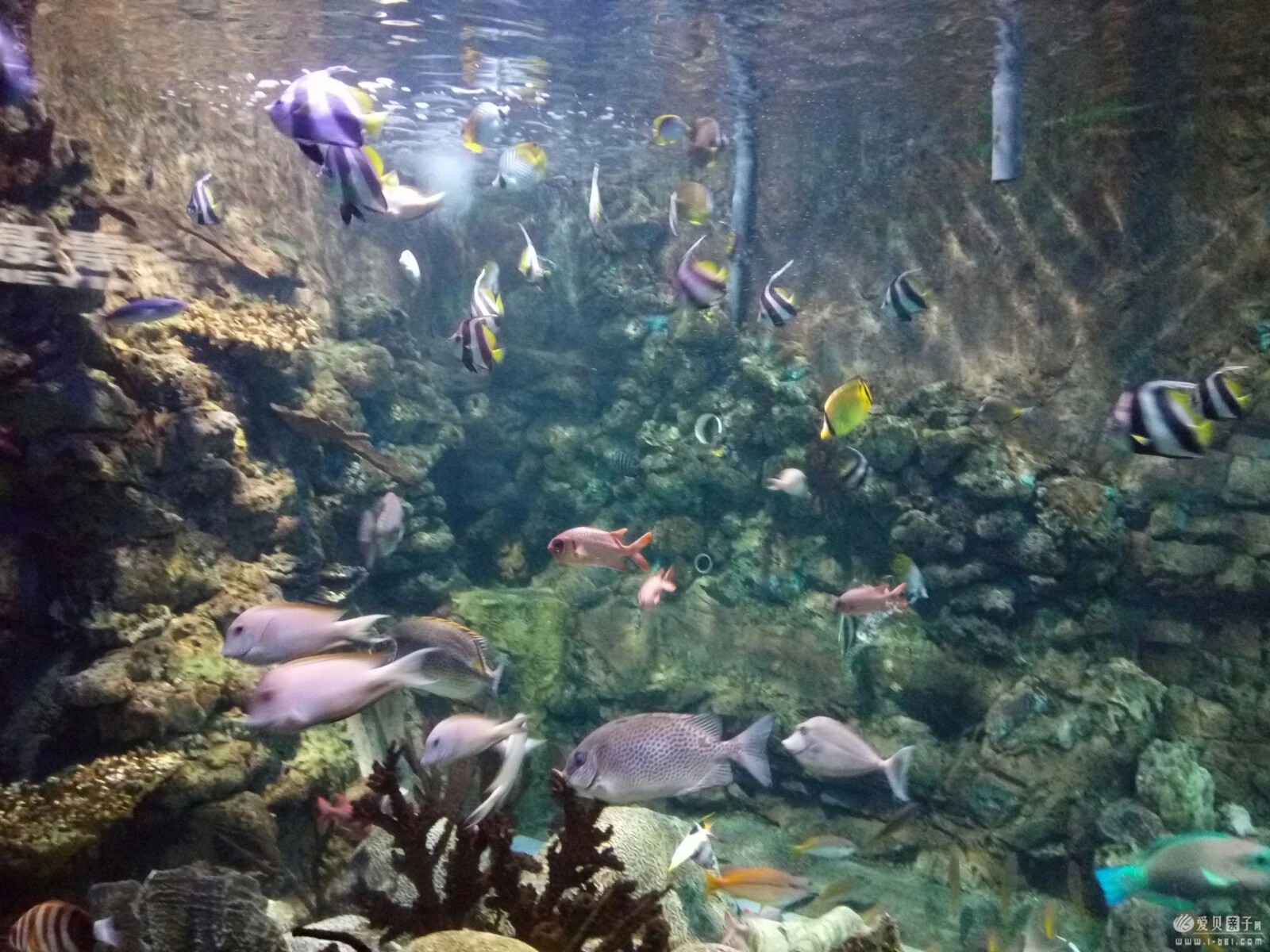 2015-06-21 (19).jpeg