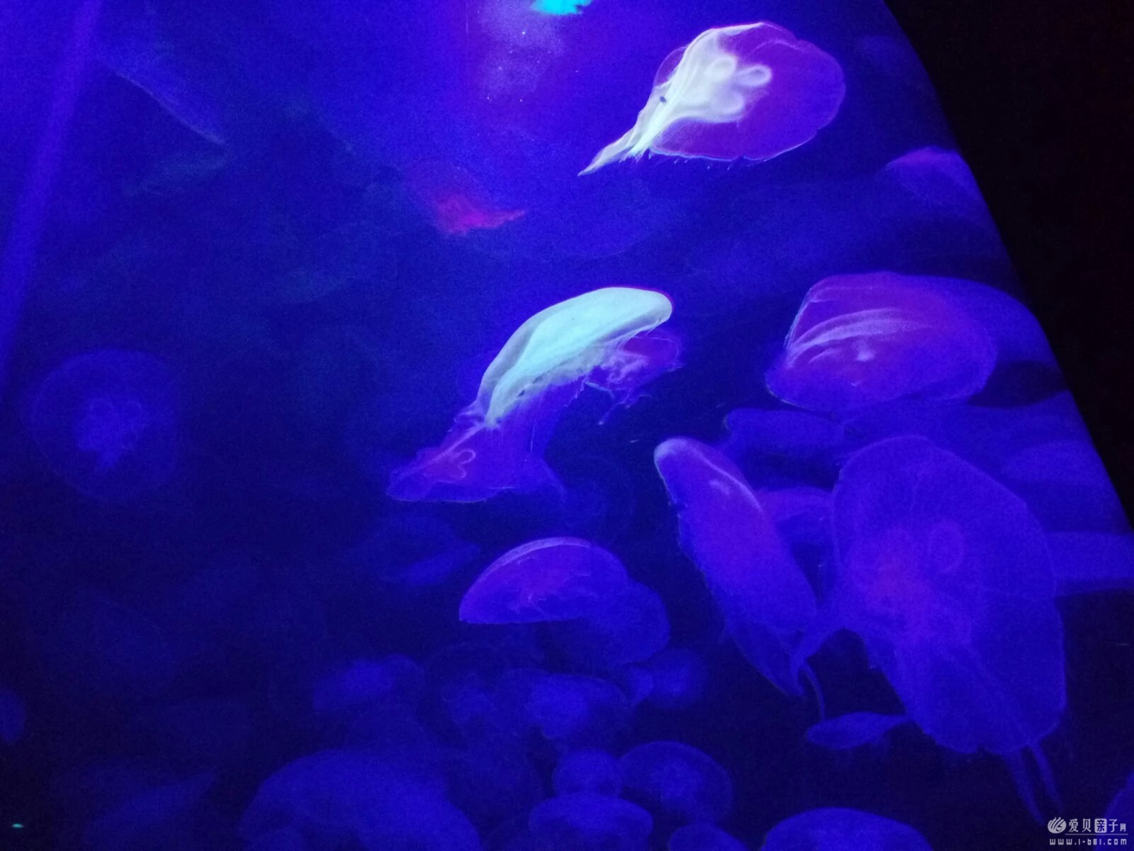 2015-06-21 (24).jpeg