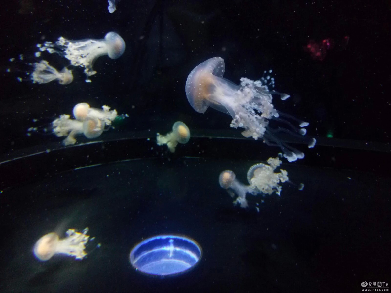 2015-06-21 (27).jpeg