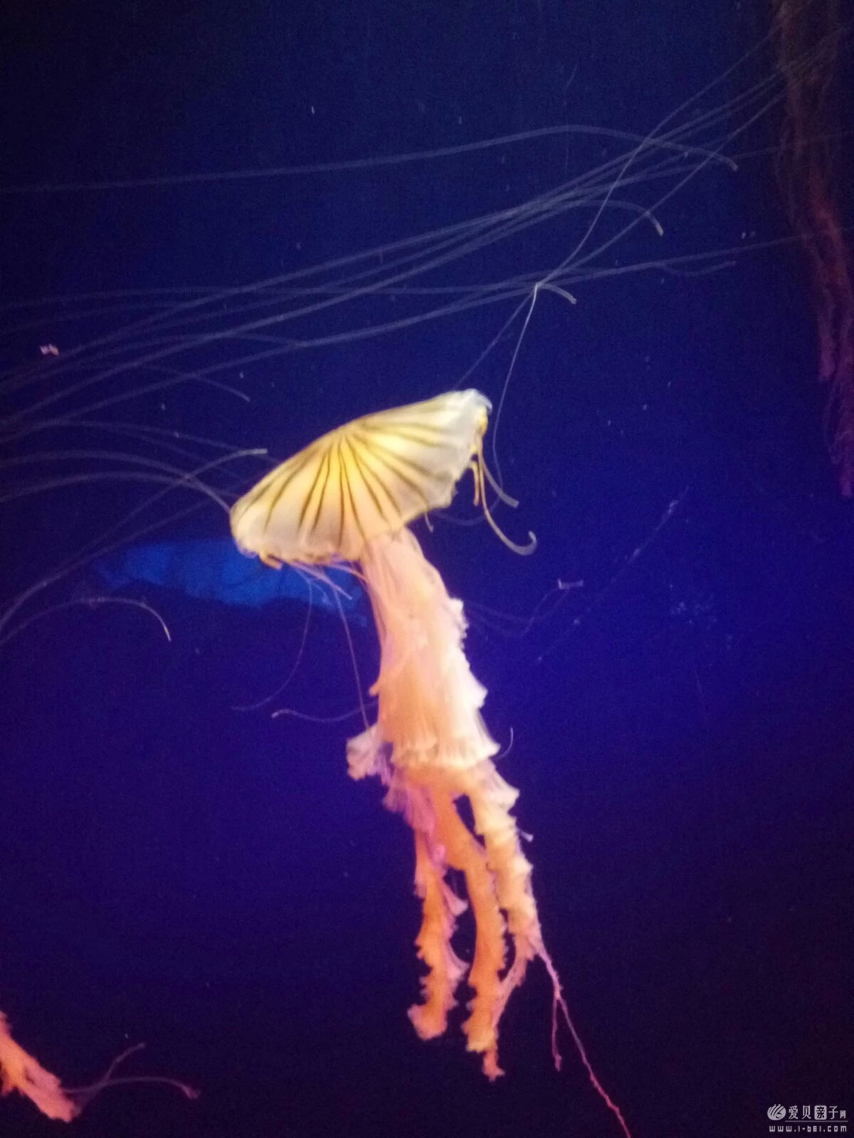 2015-06-21 (30).jpeg
