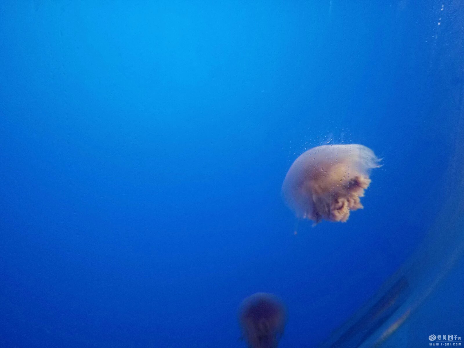 2015-06-21 (33).jpeg