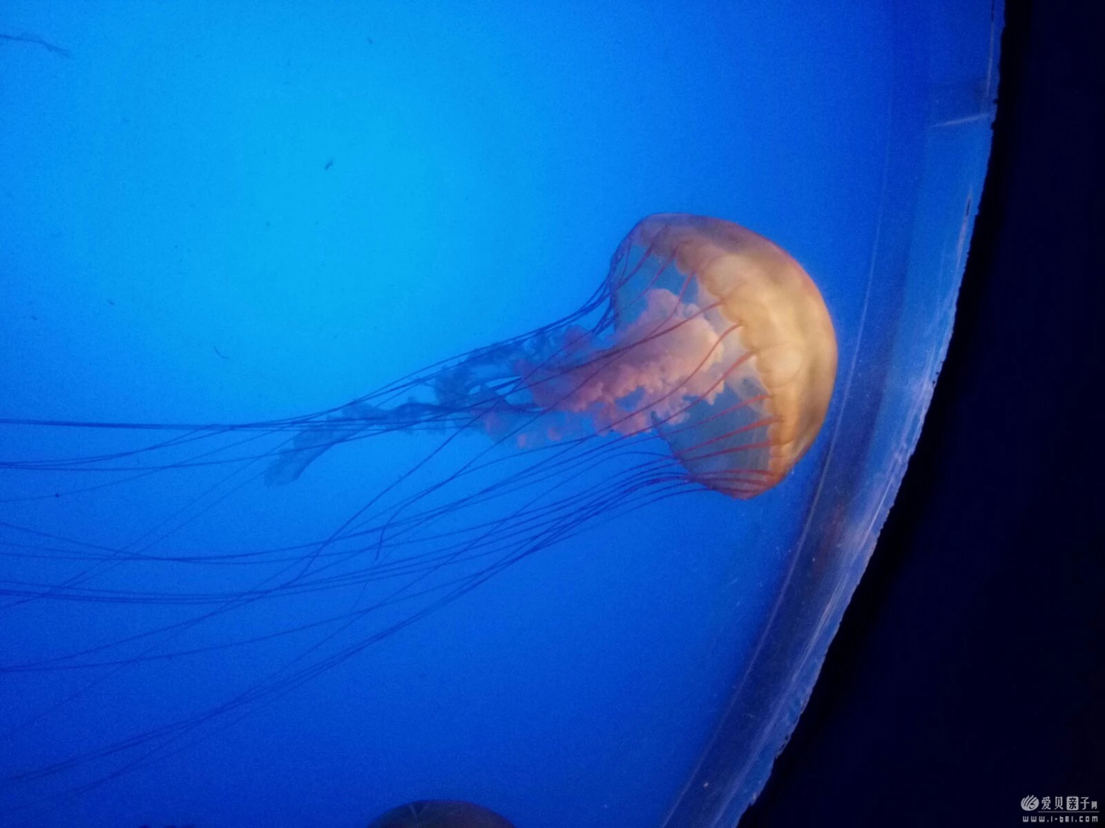 2015-06-21 (34).jpeg