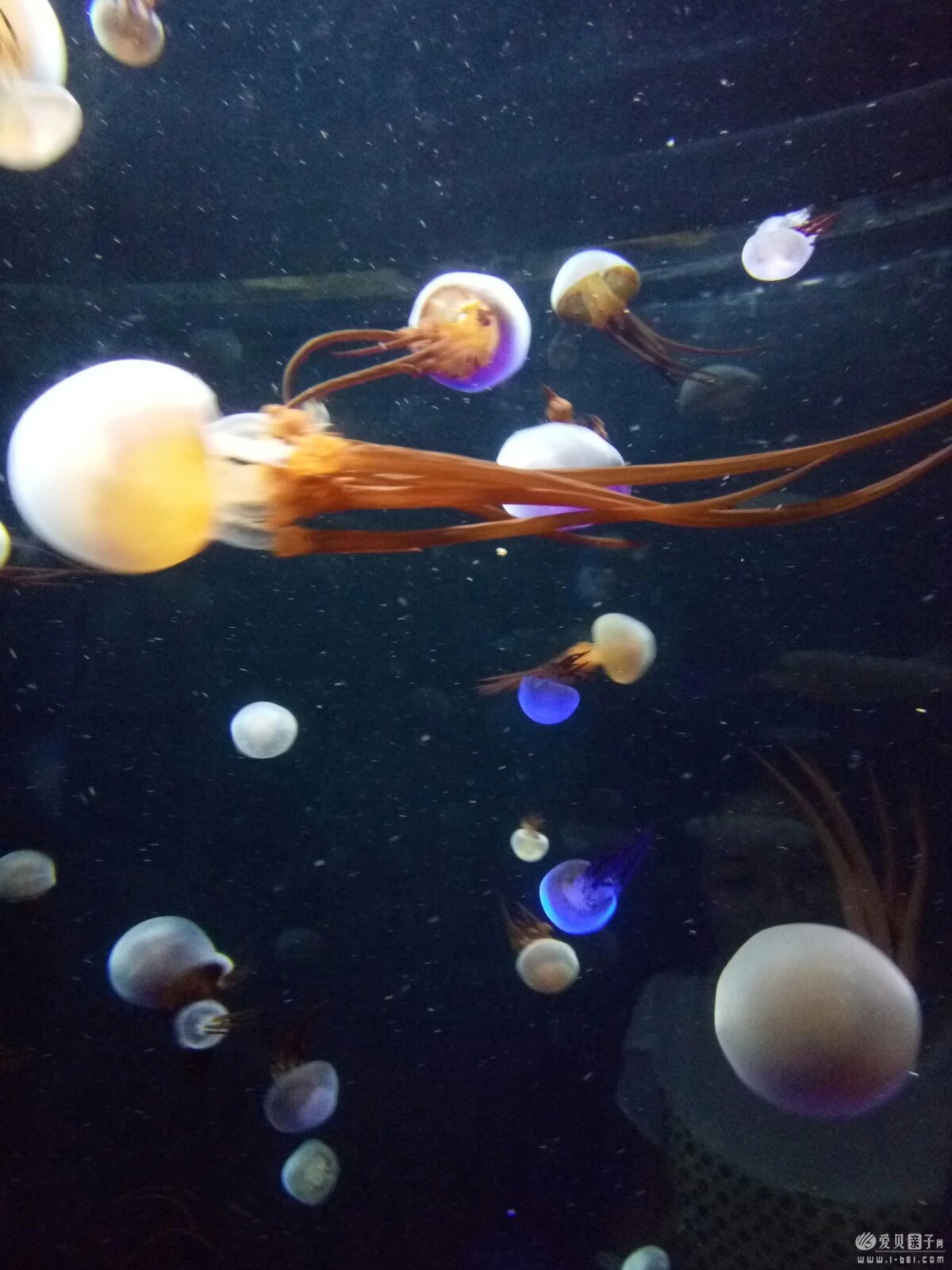 2015-06-21 (36).jpeg