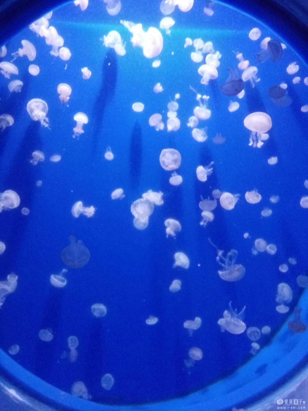 2015-06-21 (37).jpeg