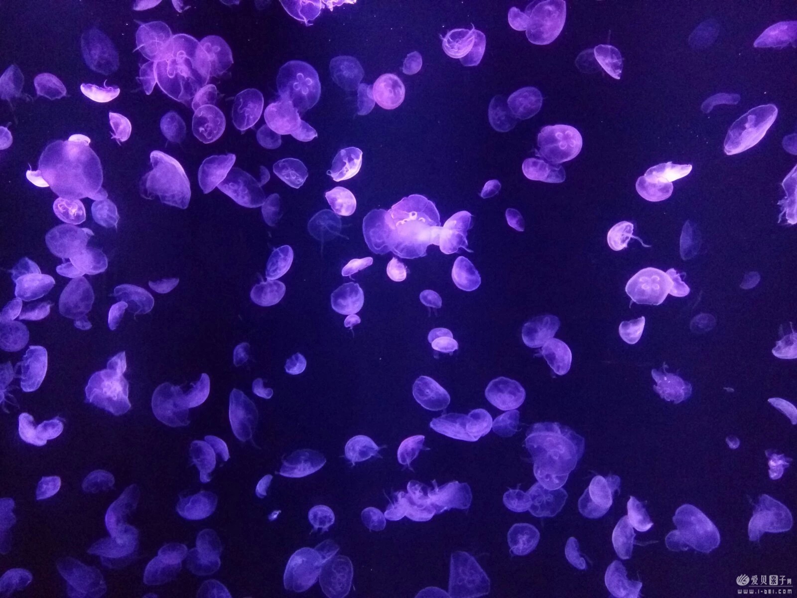 2015-06-21 (38).jpeg