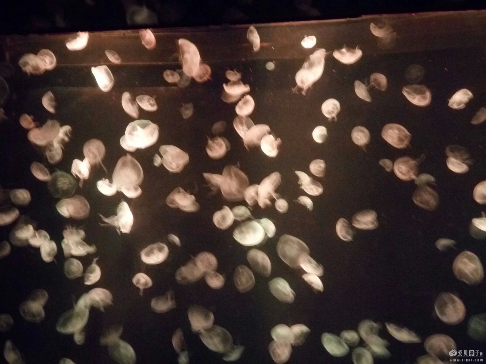 2015-06-21 (40).jpeg