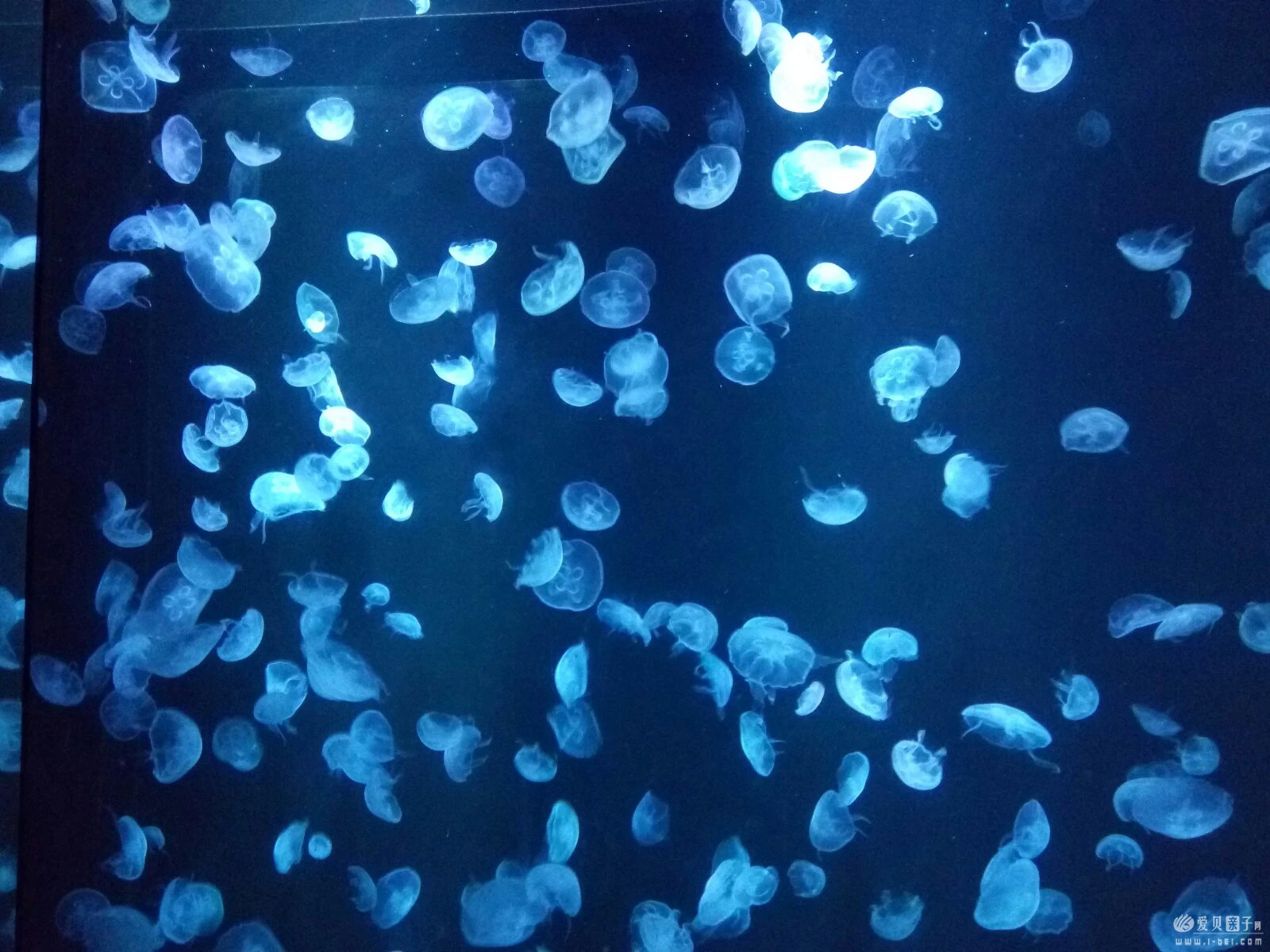 2015-06-21 (44).jpeg