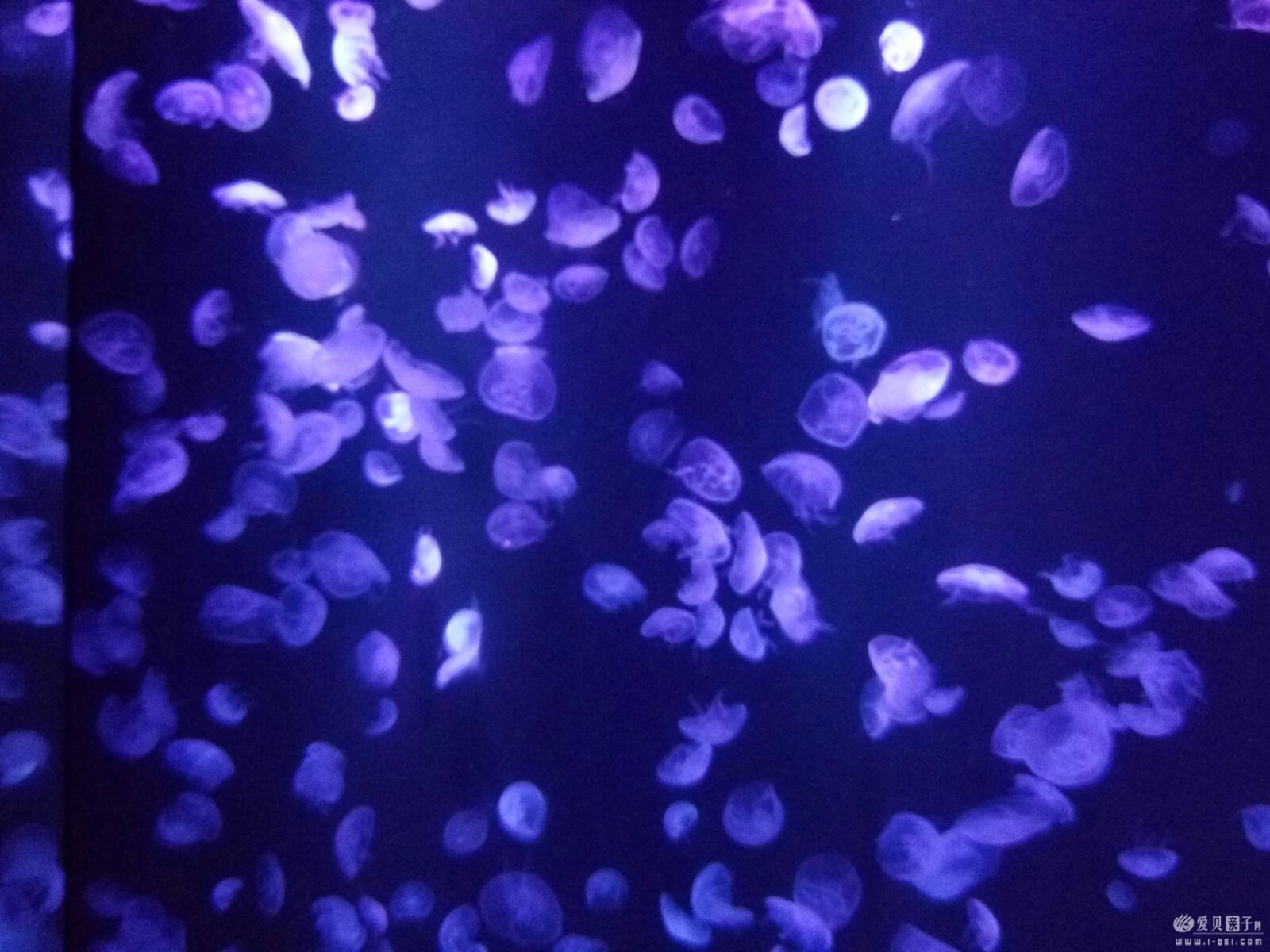 2015-06-21 (45).jpeg