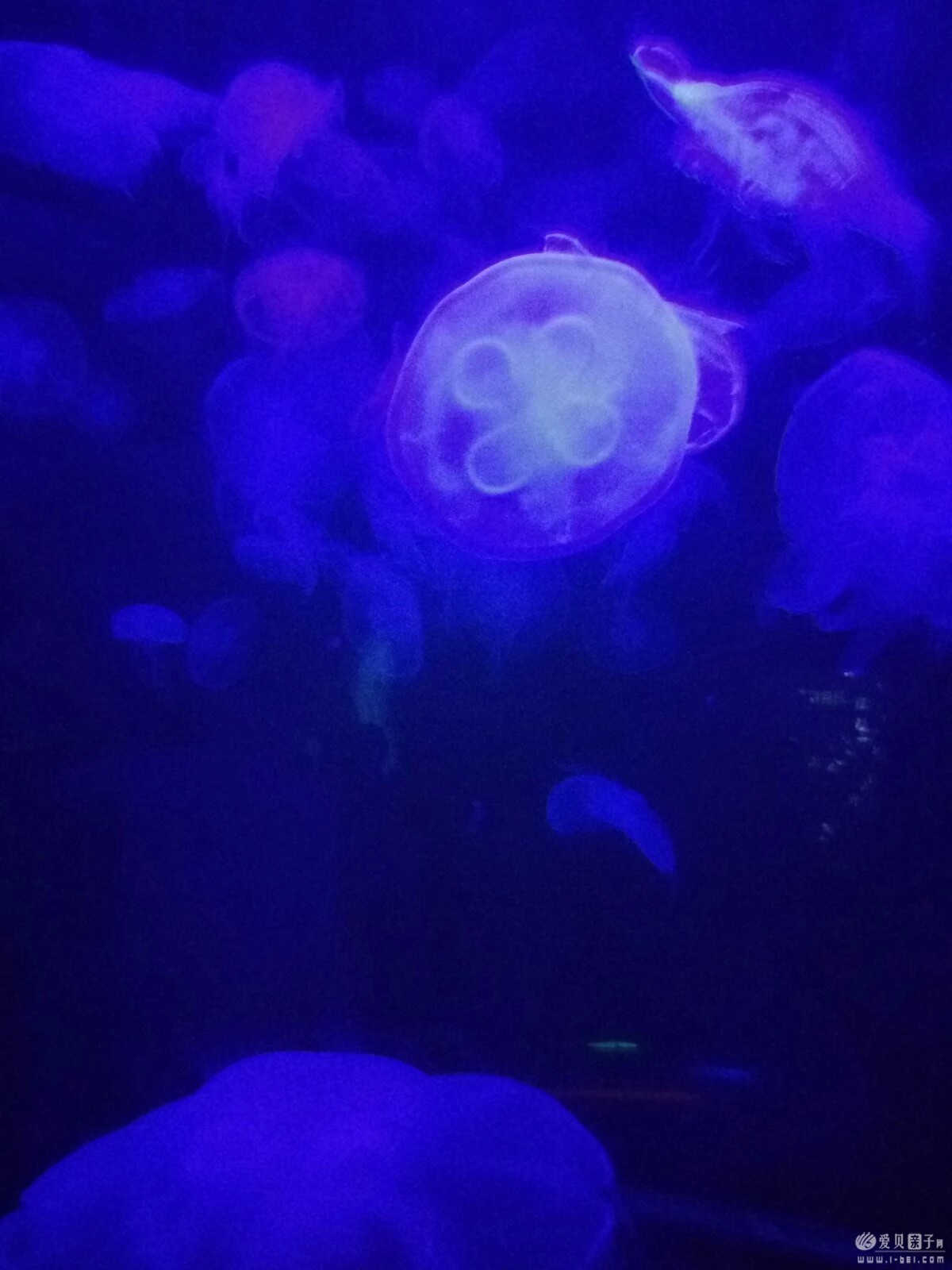 2015-06-21 (48).jpeg