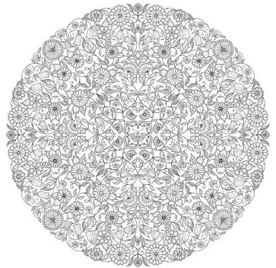 治愈填色本秘密花园涂色扫描下载可打印将近200张