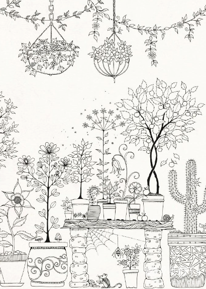 ܻ԰ͿɫϵSecret Garden