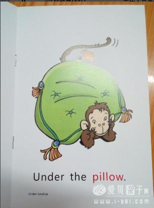 RAZ pillow.png