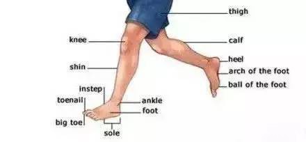 646.jpg