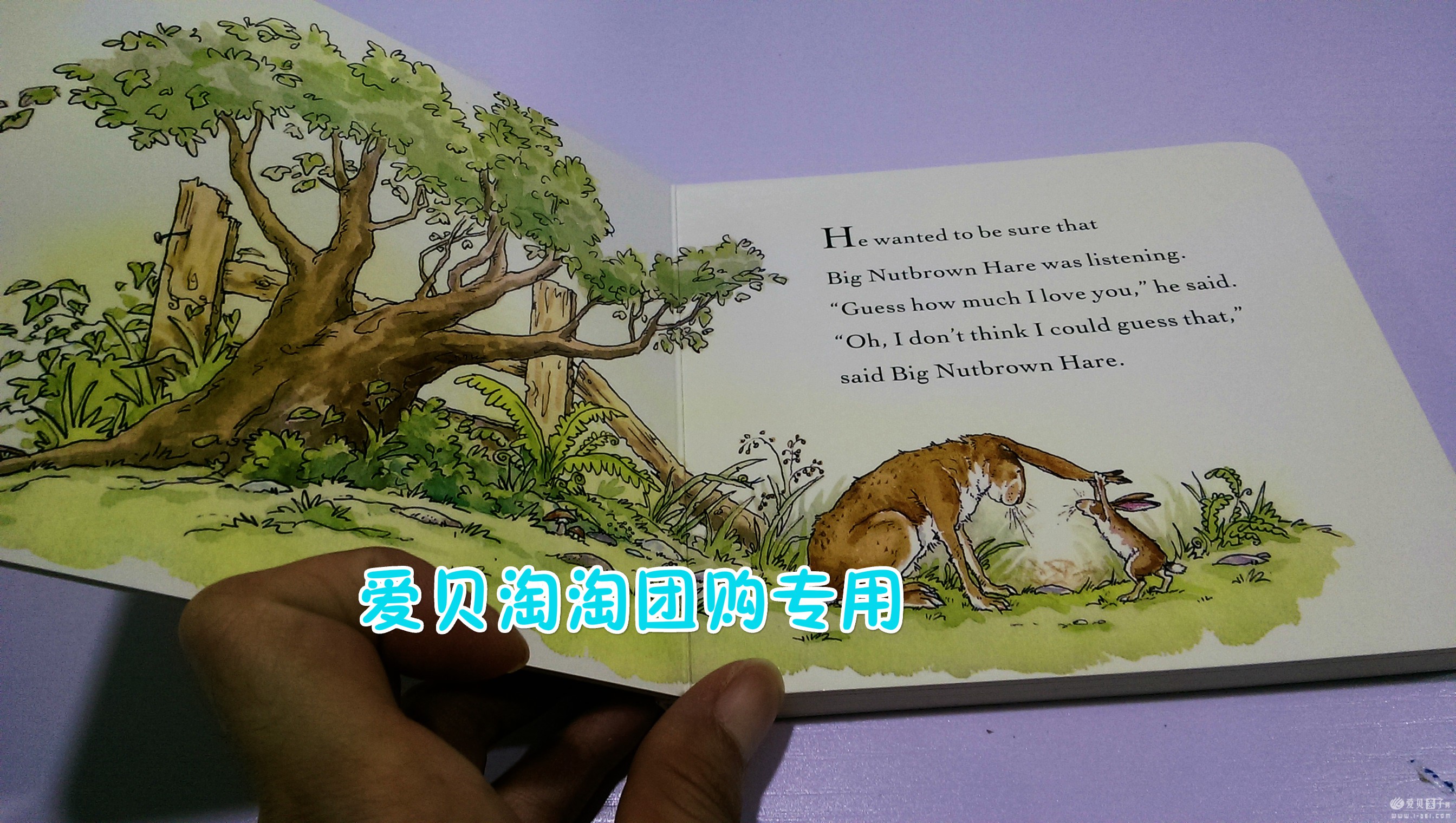 �β����Ƽ��鵥֮Nutshell Library �����ͼ���4��