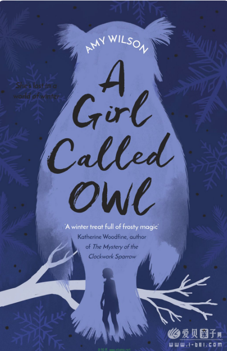 ԭӢA Girl Called Owl - Amy Wilson Mobi+epub