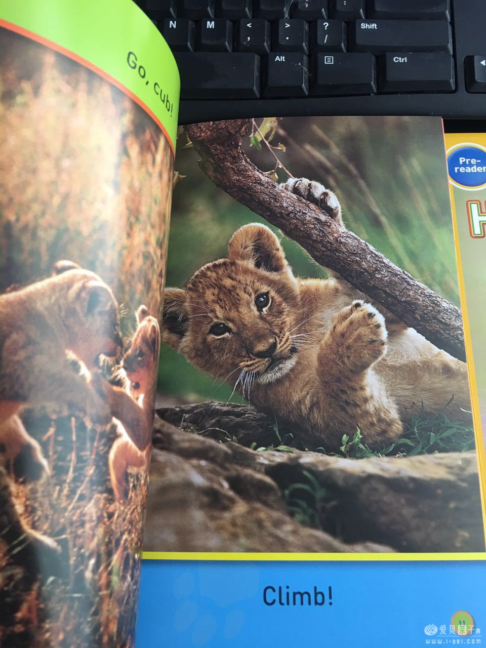 �������ҵ����ּ�12��(Pre-reader ��  ��װ��)ʵ��ͼ