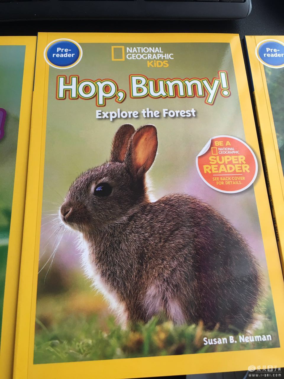 �������ҵ����ּ�12��(Pre-reader ��  ��װ��)ʵ��ͼ