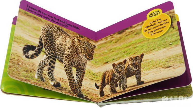 ���ҵ����׶���Kids Look and Learnֽ����