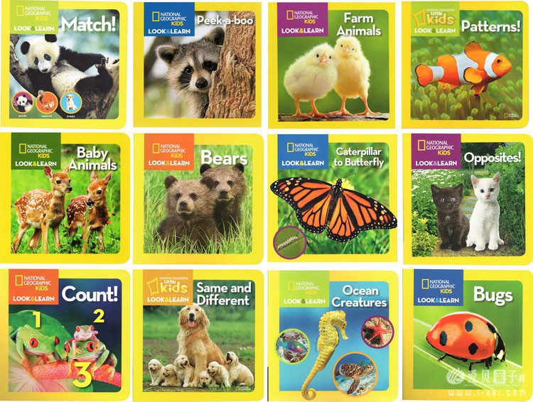���ҵ����׶���Kids Look and Learnֽ����