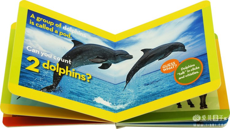 ���ҵ����׶���Kids Look and Learnֽ����