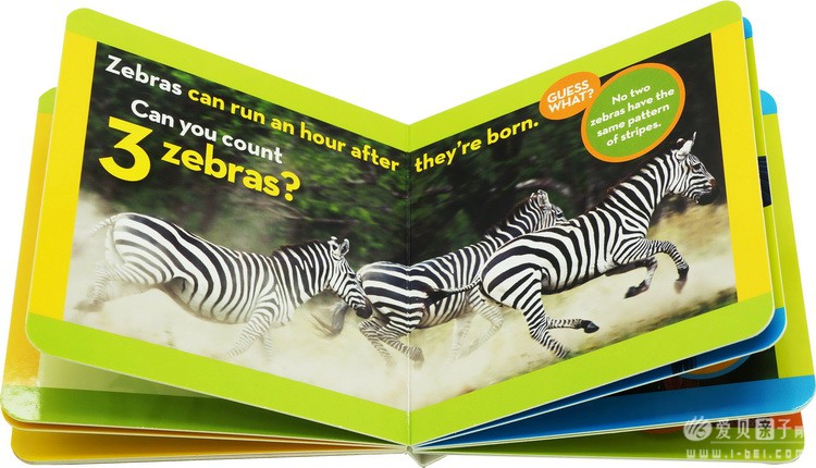 ���ҵ����׶���Kids Look and Learnֽ����