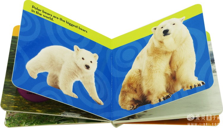 ���ҵ����׶���Kids Look and Learnֽ����