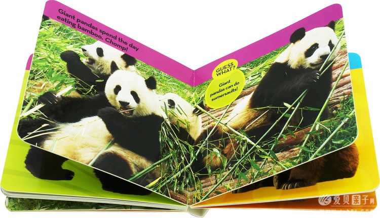 ���ҵ����׶���Kids Look and Learnֽ����