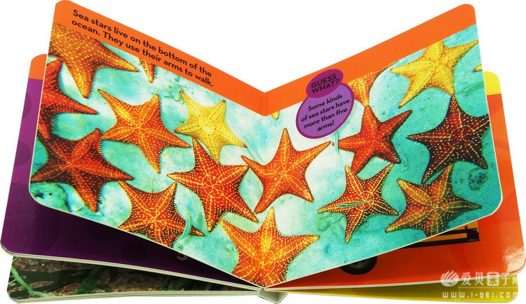 ���ҵ����׶���Kids Look and Learnֽ����