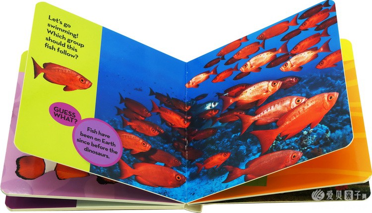 ���ҵ����׶���Kids Look and Learnֽ����