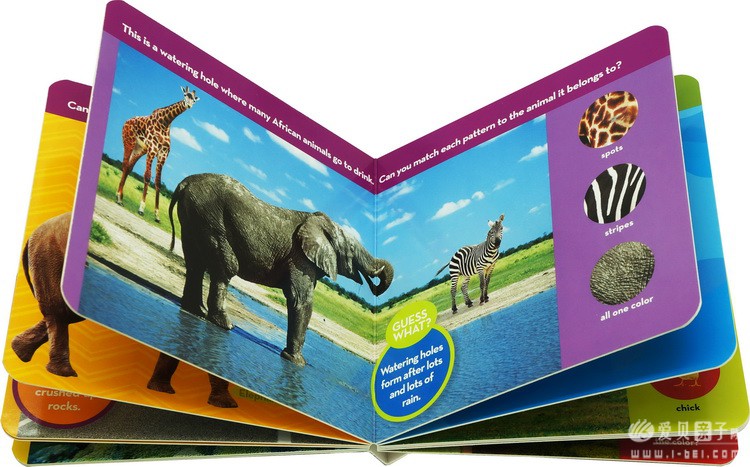 ���ҵ����׶���Kids Look and Learnֽ����
