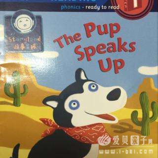ǷּThe pup speaks up 汾Ķָ