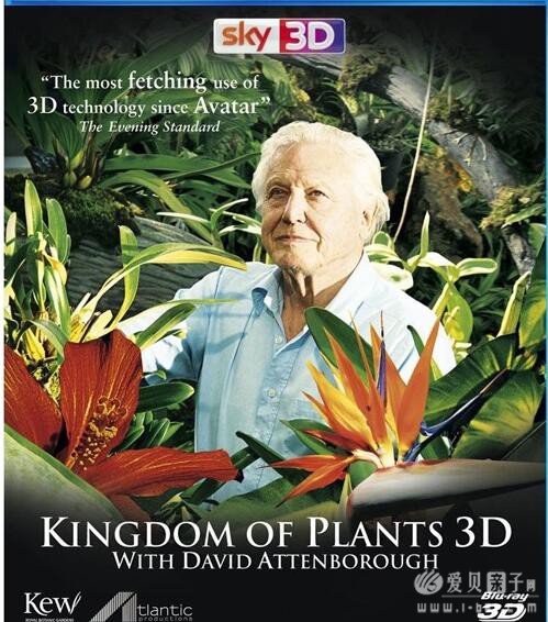 ��������Դ��������¼Ƭ: ֲ������ Kingdom of Plants ȫ4��   �ڸ� ����720P����+��Ӣ˫��