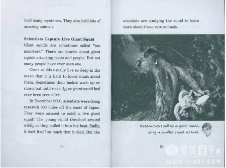 神奇树屋核心经典《神奇树屋小百科》，章节书的鼻祖，被誉为孩子英语学习路上的里程碑