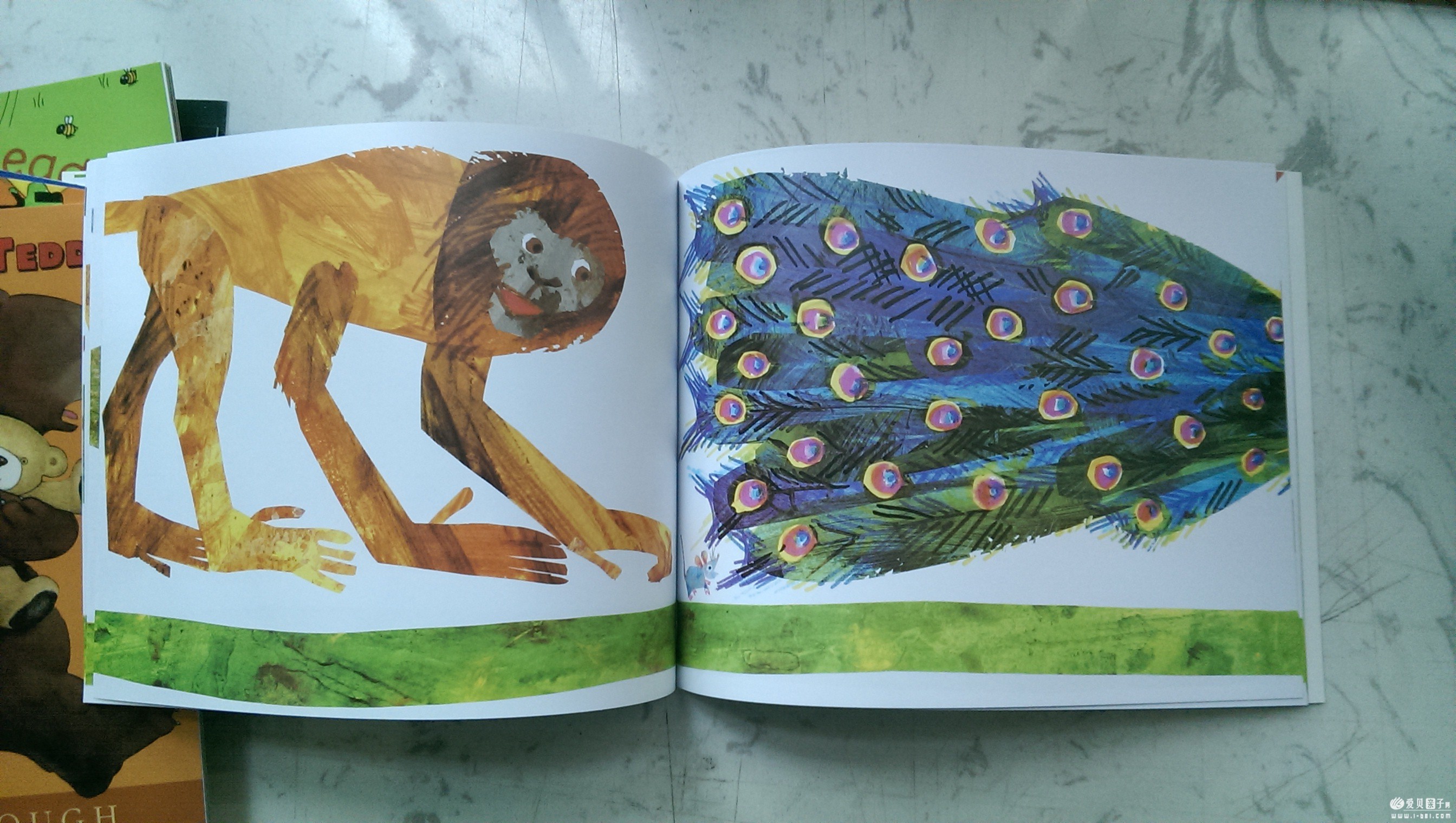 �β���31-42��dab��ʽ���������