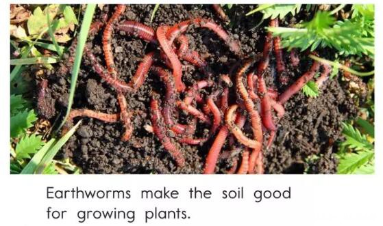 RAZ��������ô�Ķ�����ϸ���RAZ aa-c�� �Ķ���ʽ