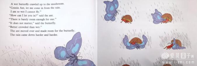 β鵥Mushroom in the Rain еĢ 汾