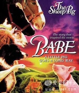  Babe: The Sheep-Pig