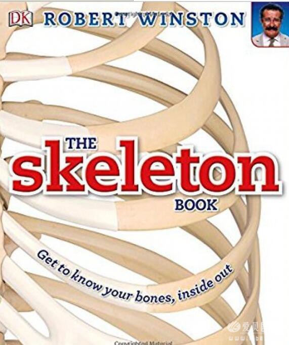 DKֲ Ӣԭ The Skeleton Book  ֪ʶٿ 6-12