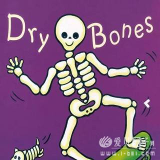 �β����鵥Ӣ������  �����ܽ�
