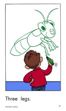 One Insect