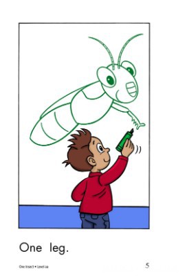 One Insect